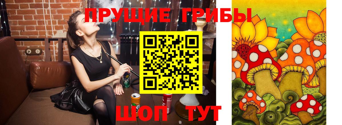 Карпинск  Псилоцибиновые грибы Magic Shrooms  Вход с VPN 